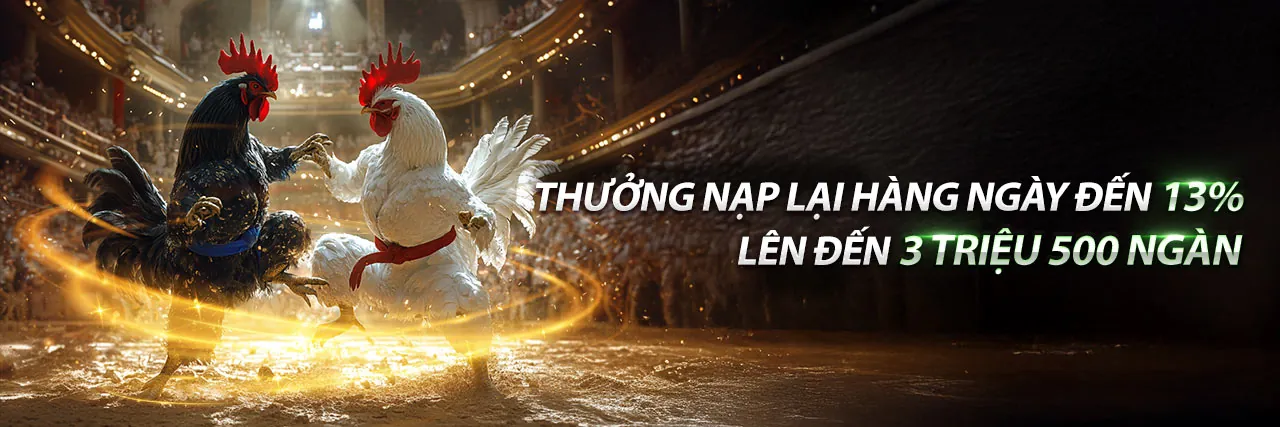 Hình ảnh tổng quan về nền tảng cá cược trực tuyến rr8811