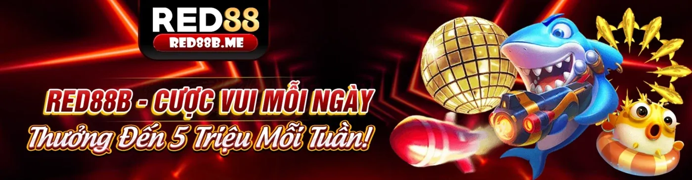 Giao diện nền tảng cá cược trực tuyến rr8811 hiện đại và an toàn